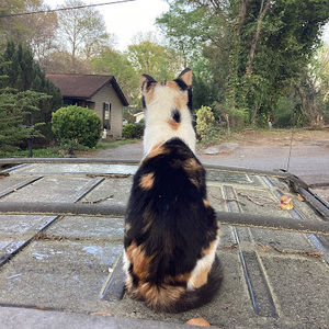 Meet your Posher, Rosemary